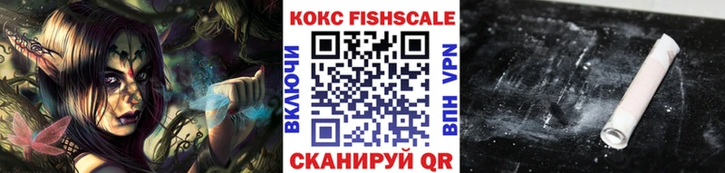купить закладку  Южно-Сахалинск  Кокаин FishScale 