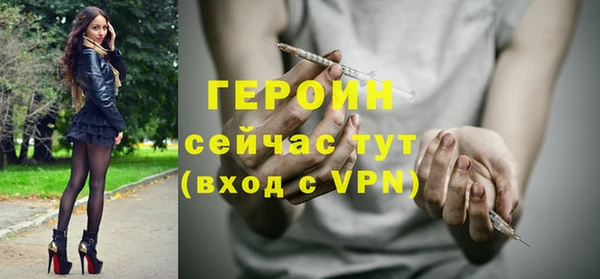 индика Арсеньев