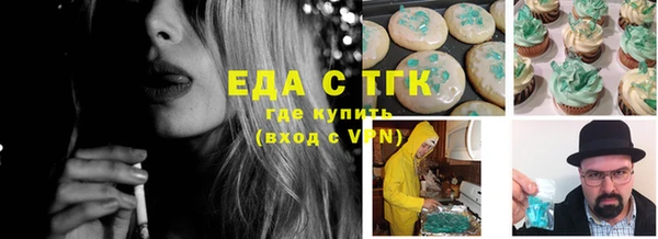 индика Арсеньев