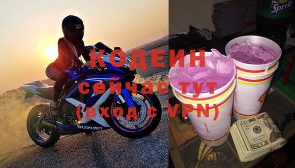 индика Арсеньев