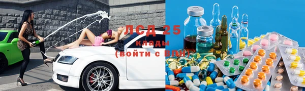 индика Арсеньев