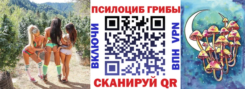 Галлюциногенные грибы мицелий  где продают   кракен маркетплейс  Южно-Сахалинск 